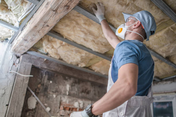 Best Energy Efficiency Insulation in Camden, TN