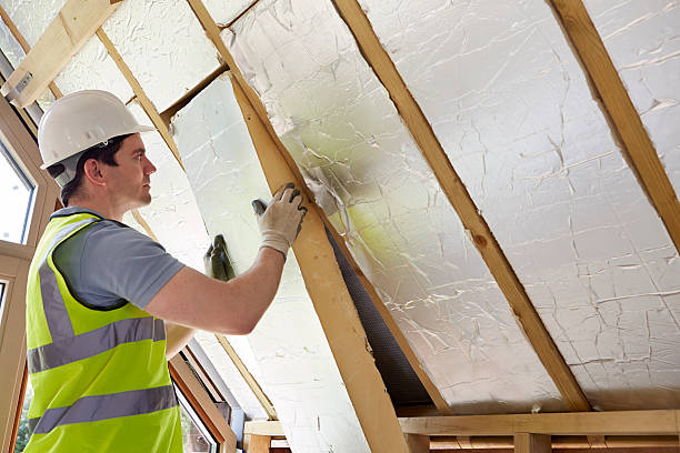 Best DIY Insulation Kits and Guidance in Camden, TN
